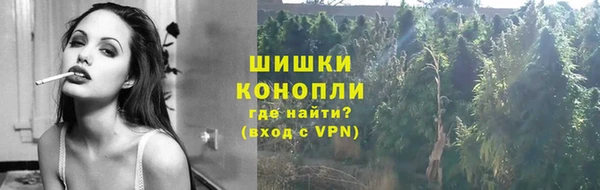 крисы Дмитров