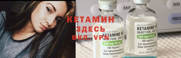 крисы Дмитров
