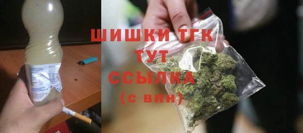 mix Гусиноозёрск