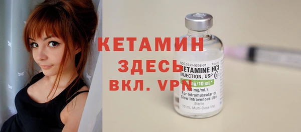 крисы Дмитров