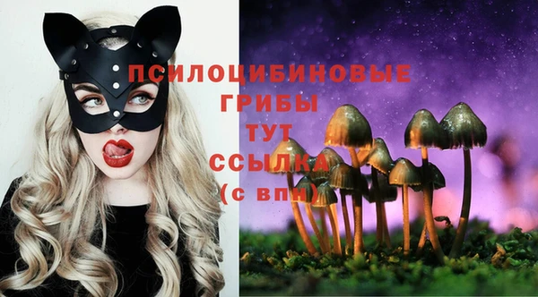 первитин Дмитровск