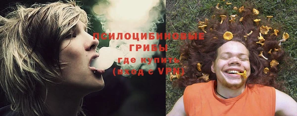 крисы Дмитров